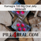 Kamagra 100Mg Oral Jelly Sildenafil 15